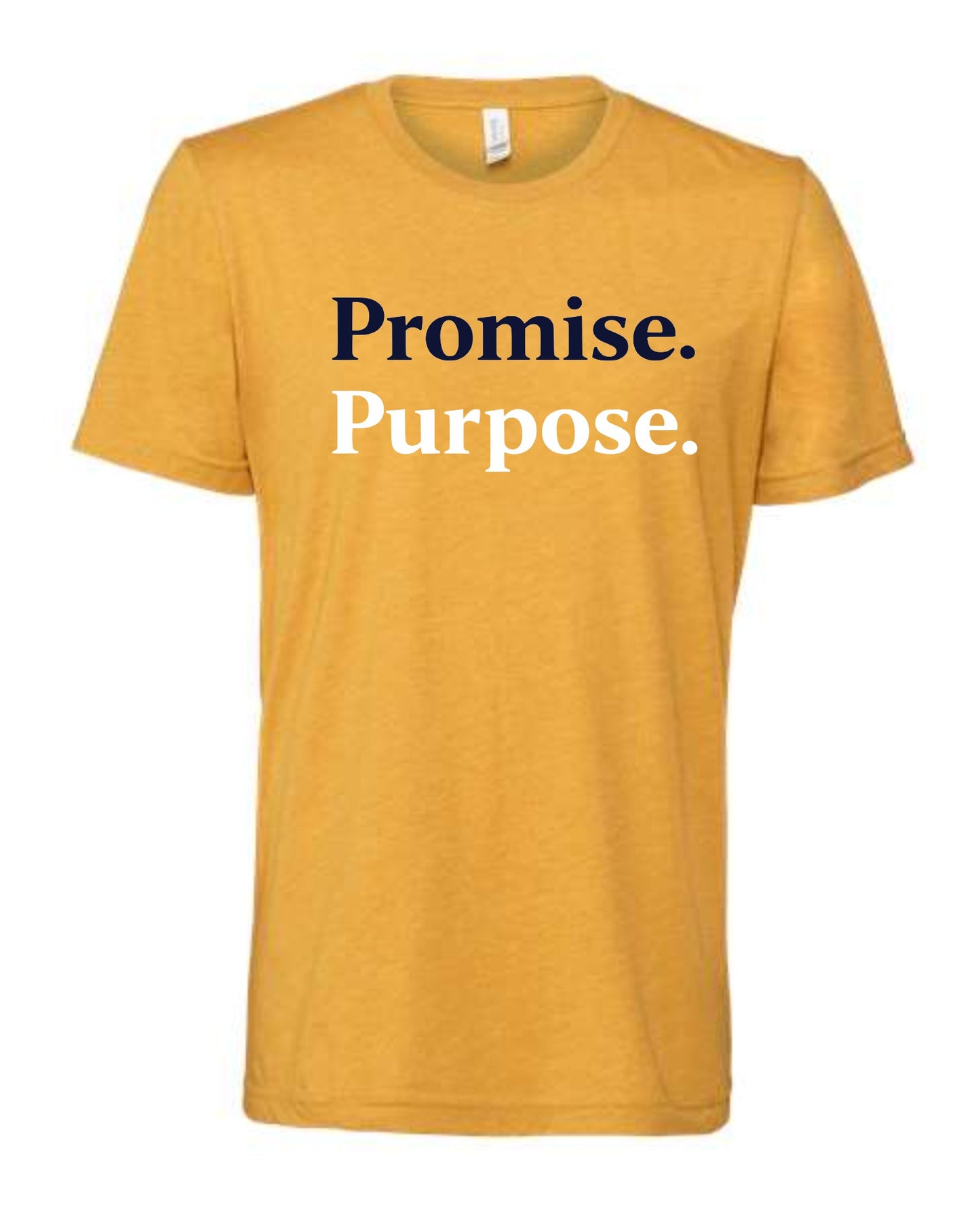 PROMISE & PURPOSE GROUP